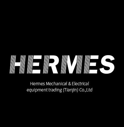 Female Hermes Sneakers